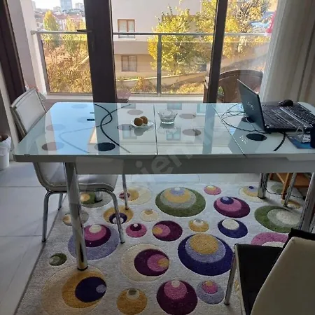 Twenty-four Ankara